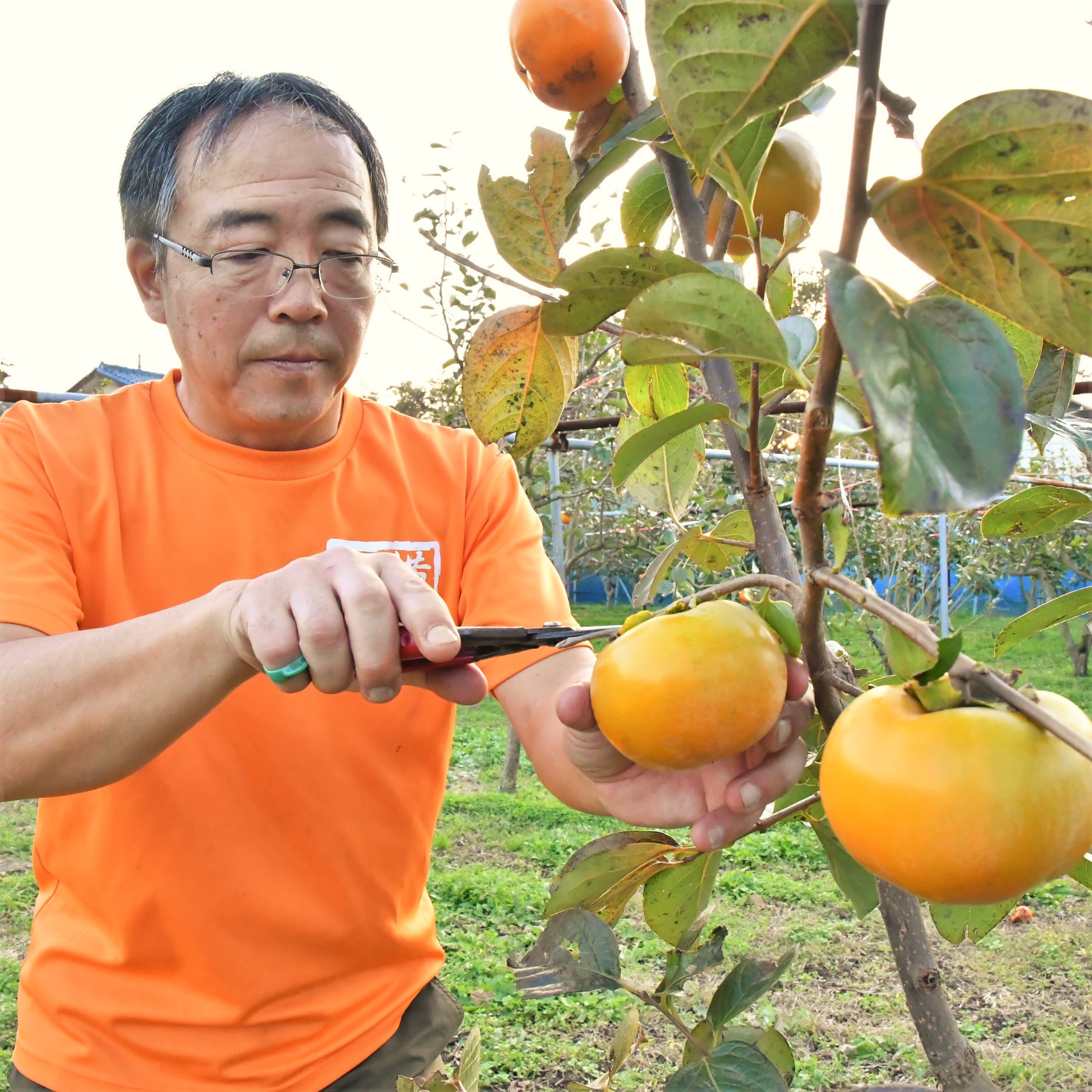 矢澤秀之さん 泉区和泉町