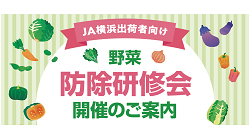 令和４年度 JA横浜出荷者向け防除研修会の開催について