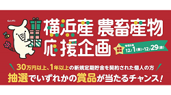 「横浜産農畜産物応援企画」の実施について（12/1～12/29）