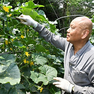 豊田正和さん　港北区新吉田町