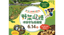 【第11回 相鉄西谷駅長企画】野菜収穫体験参加者募集【6.14（土）】