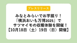 【プレスリリース】みなとみらいでお芋掘り！「横浜おいも万博2025」で サツマイモの収穫体験を開催！