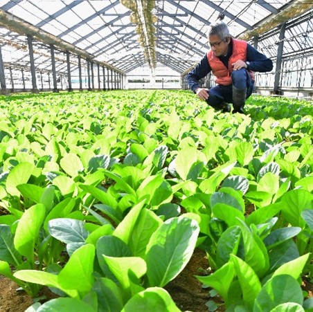 城田朝成さん　都筑区折本町