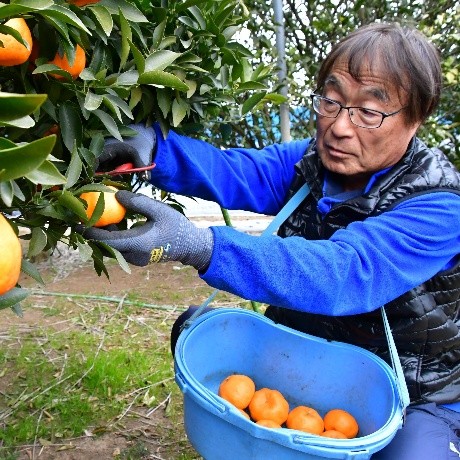 宍倉克弥さん 　金沢区柴町