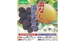 「横浜夏季果樹持寄品評会」および「浜なし・浜ぶどう持寄品評会」開催のお知らせ