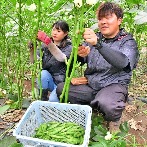 澤村喜人さん　保土ケ谷区仏向町