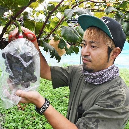 小宮雄人さん 泉区和泉町