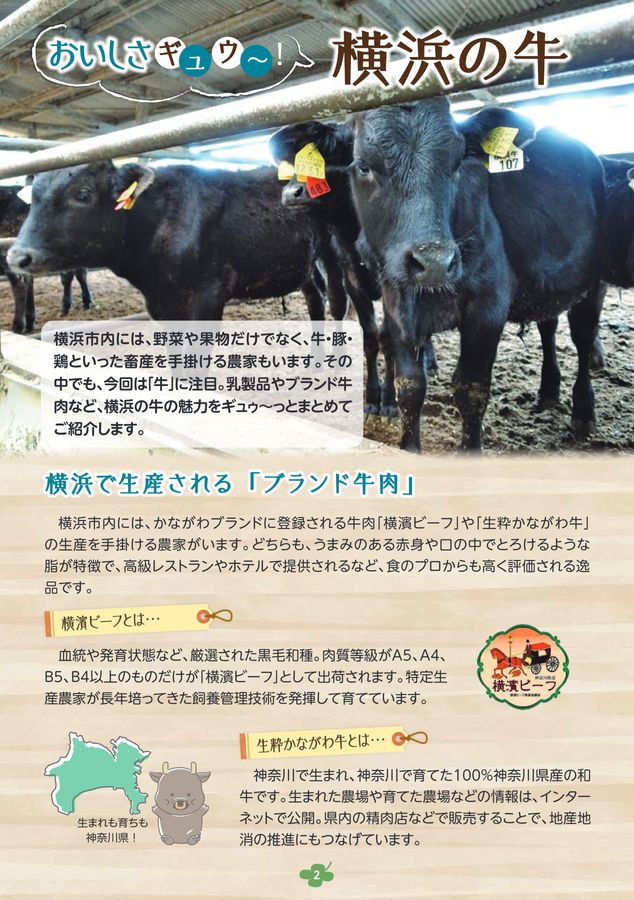 JA横浜Agriプラス