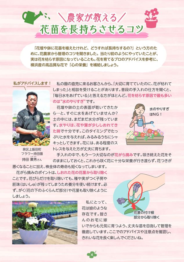 かおるc確認用 （パック様♡専用 確認用ページ - オーダーメイド）