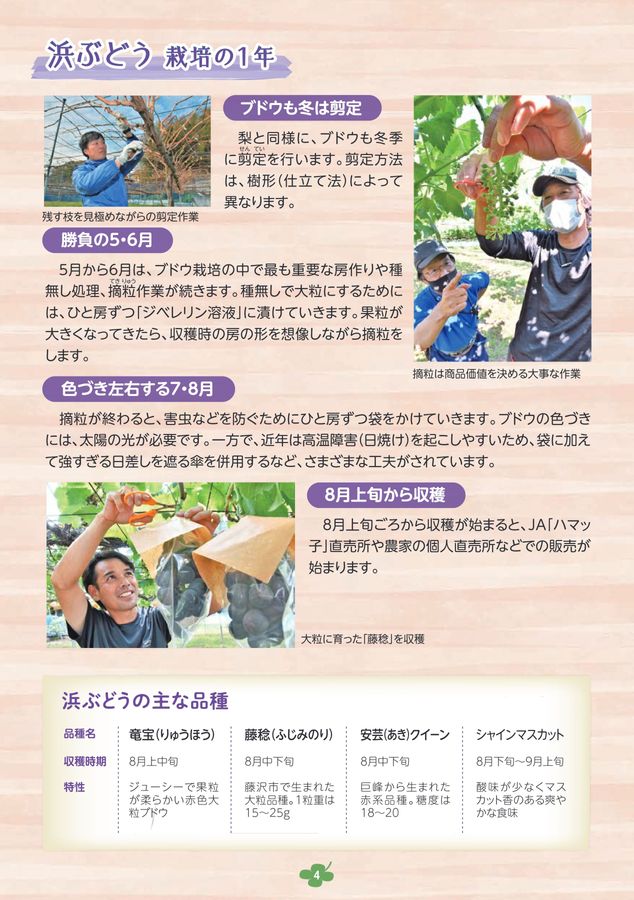 JA横浜_AgriプラスVol.39