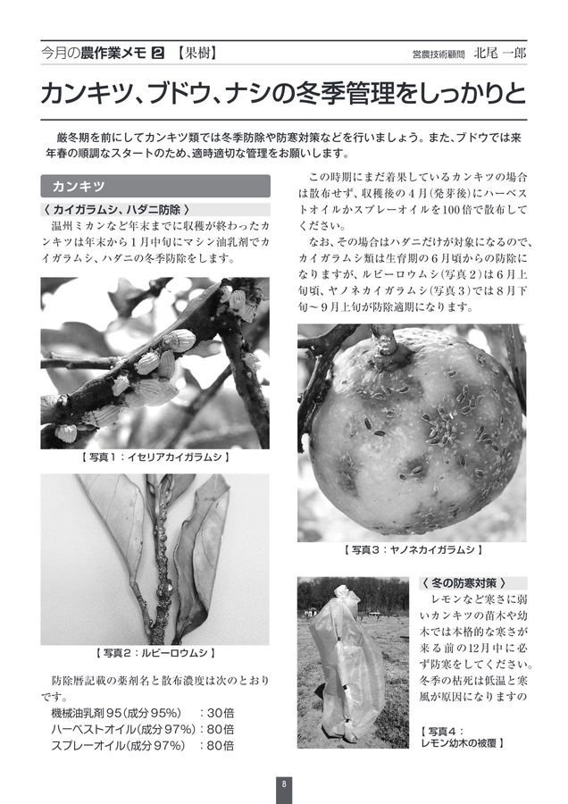 12月ご注文ページ Ninja ZX-12R - Kawasaki純正部品 パーツカタログから注文