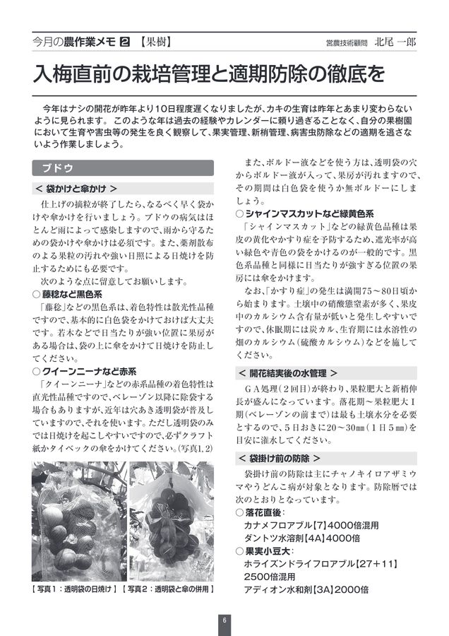 JA横浜営農情報_2024年6月