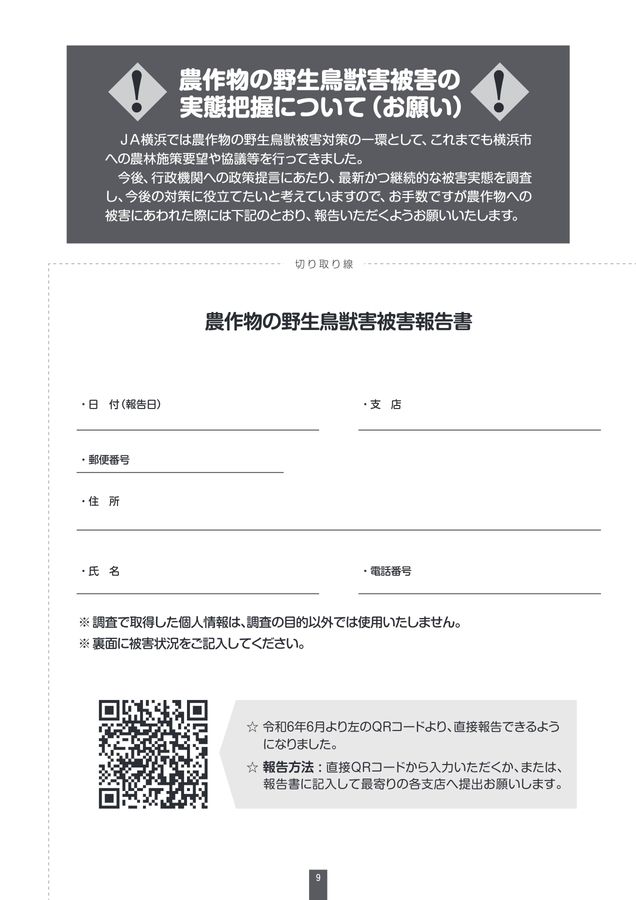 JA横浜営農情報_2024年8月