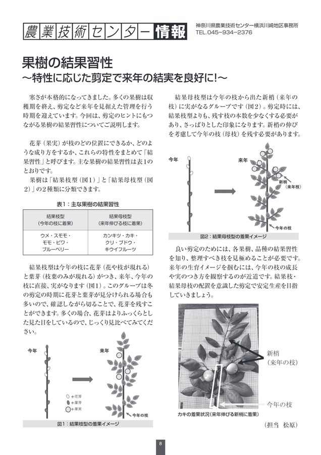 JA横浜営農情報_2025年12月